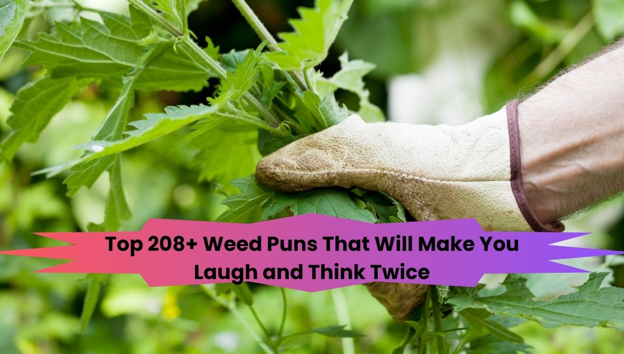 Top 208+ Weed Puns That Will Make You Laugh and Think Twice