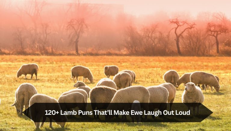 120+ Lamb Puns That’ll Make Ewe Laugh Out Loud