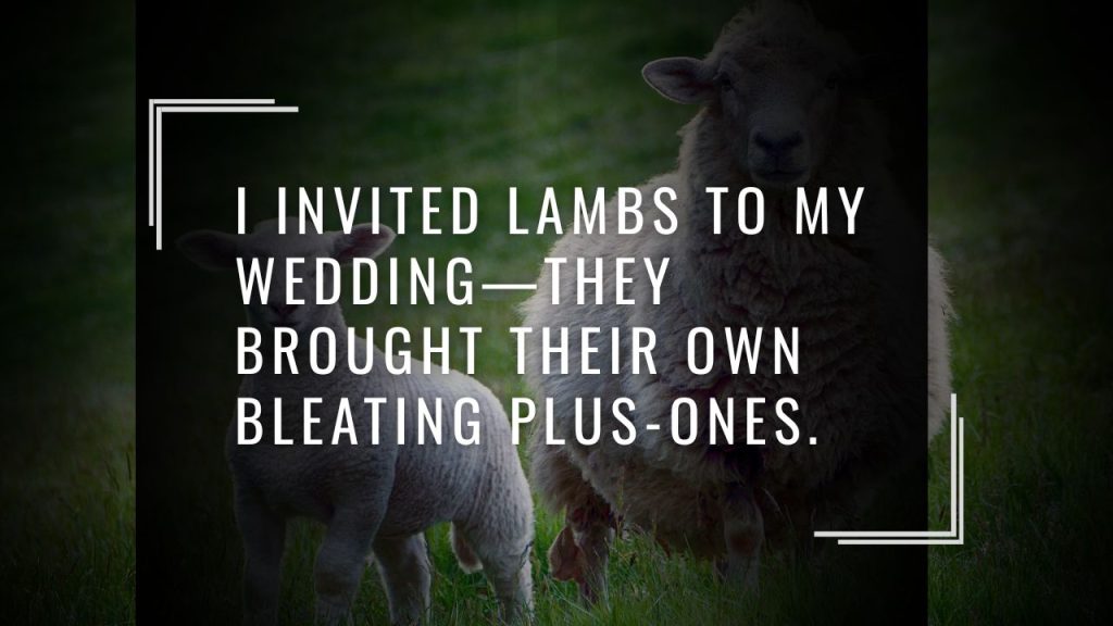 🐏 Puns About Lambs That’ll Make You Baa with Laughter