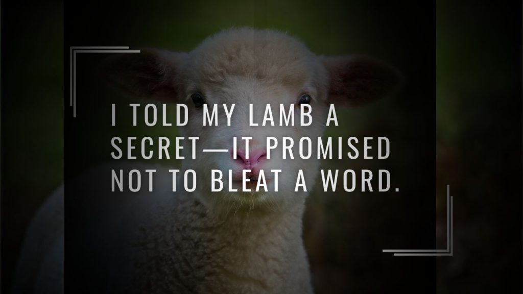 🐑 Lamb Puns That Are Shear Delight