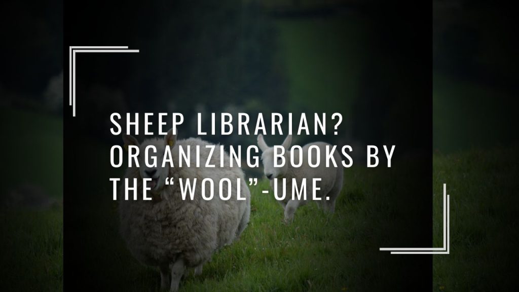 🐾 Sheep Puns That Are Wooly Good Fun
